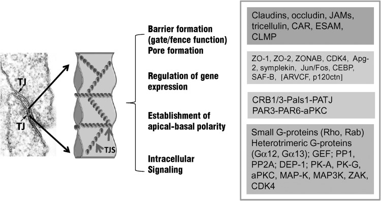 FIG. 7.