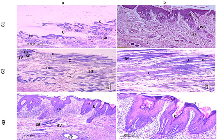 Fig 10