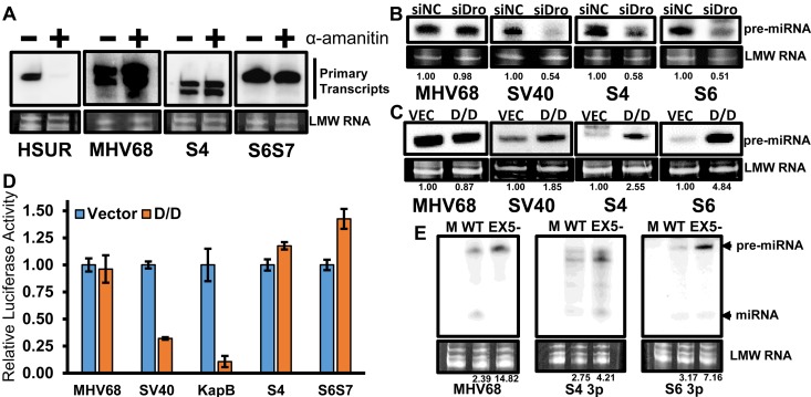 FIG 3 