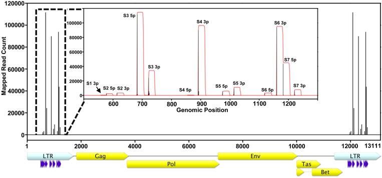 FIG 2 