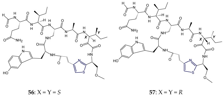 Figure 19