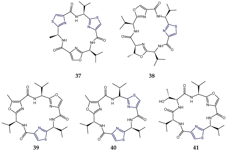 Figure 13