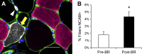 Fig. 8.