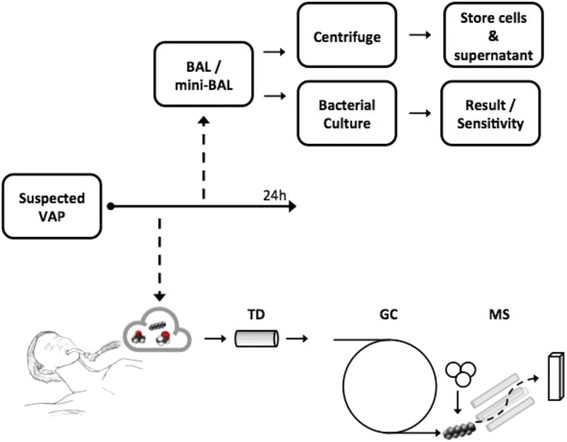 Fig. 2