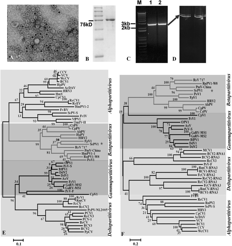 FIG 2