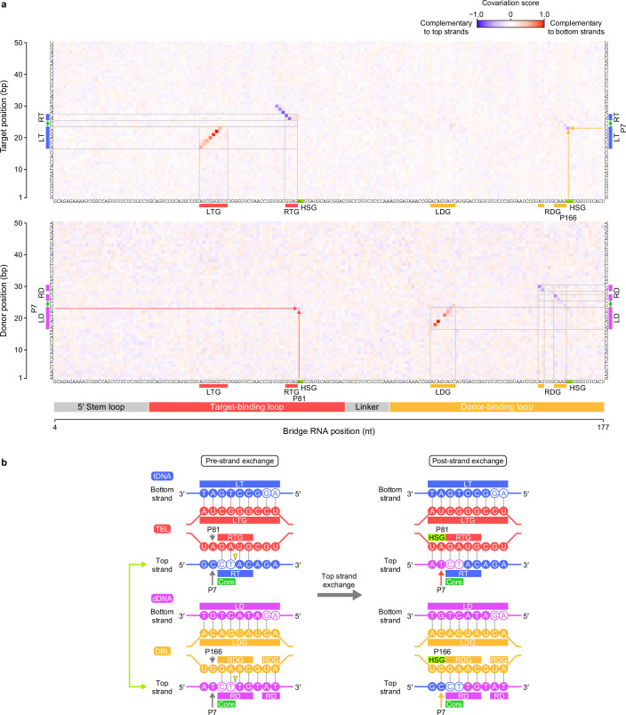 Extended Data Fig. 7