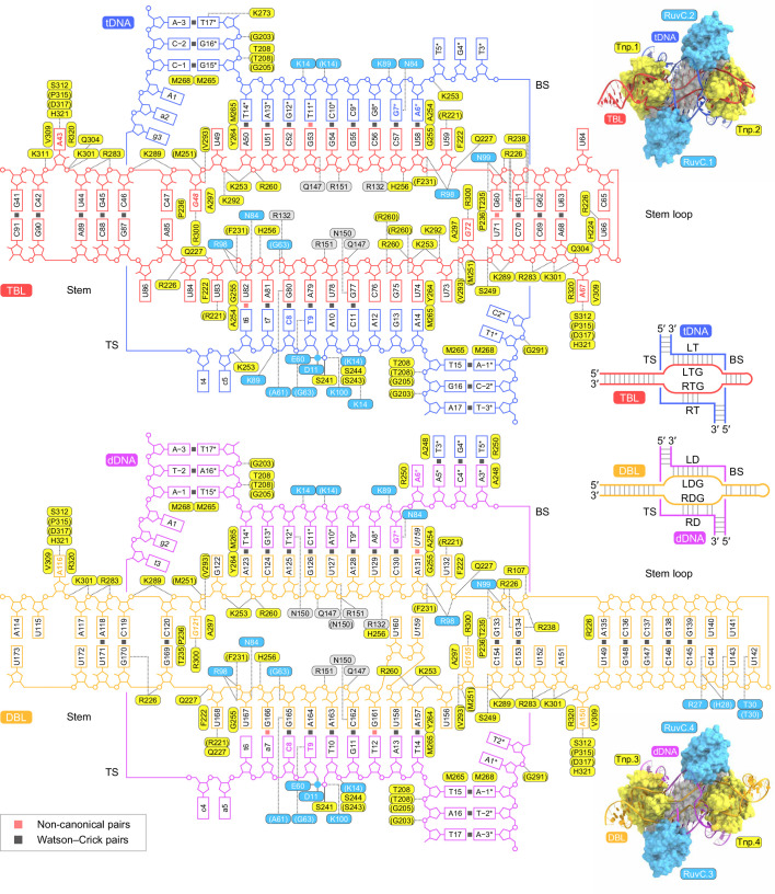 Extended Data Fig. 4