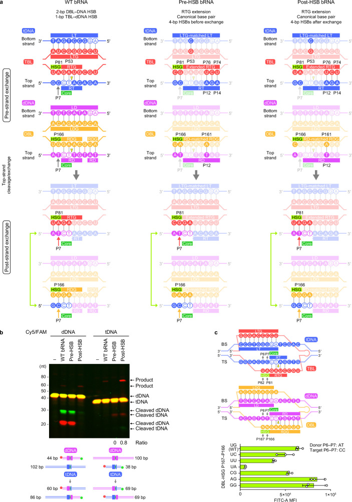 Extended Data Fig. 8