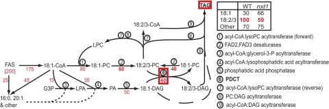 Fig. 5.