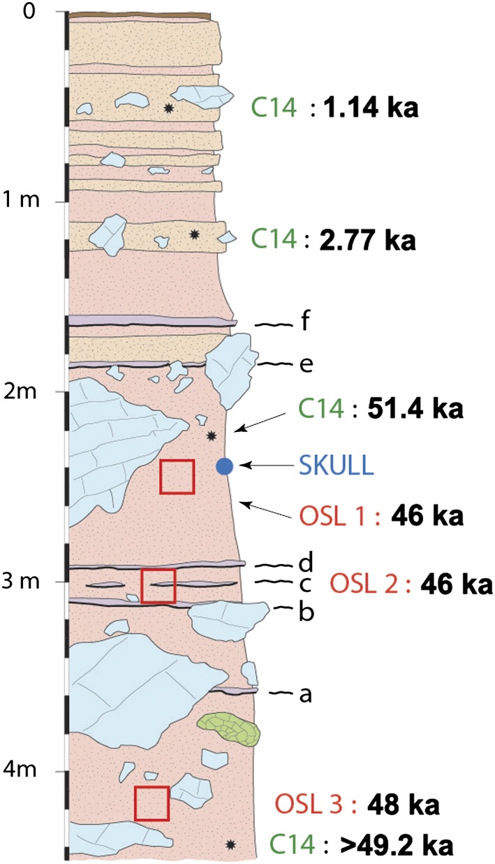 Fig. 1.