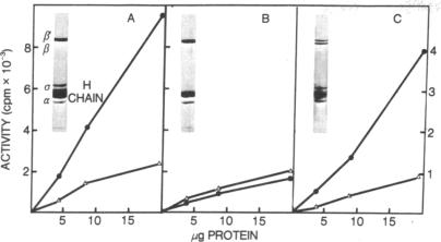 graphic file with name pnas00075-0225-a.jpg