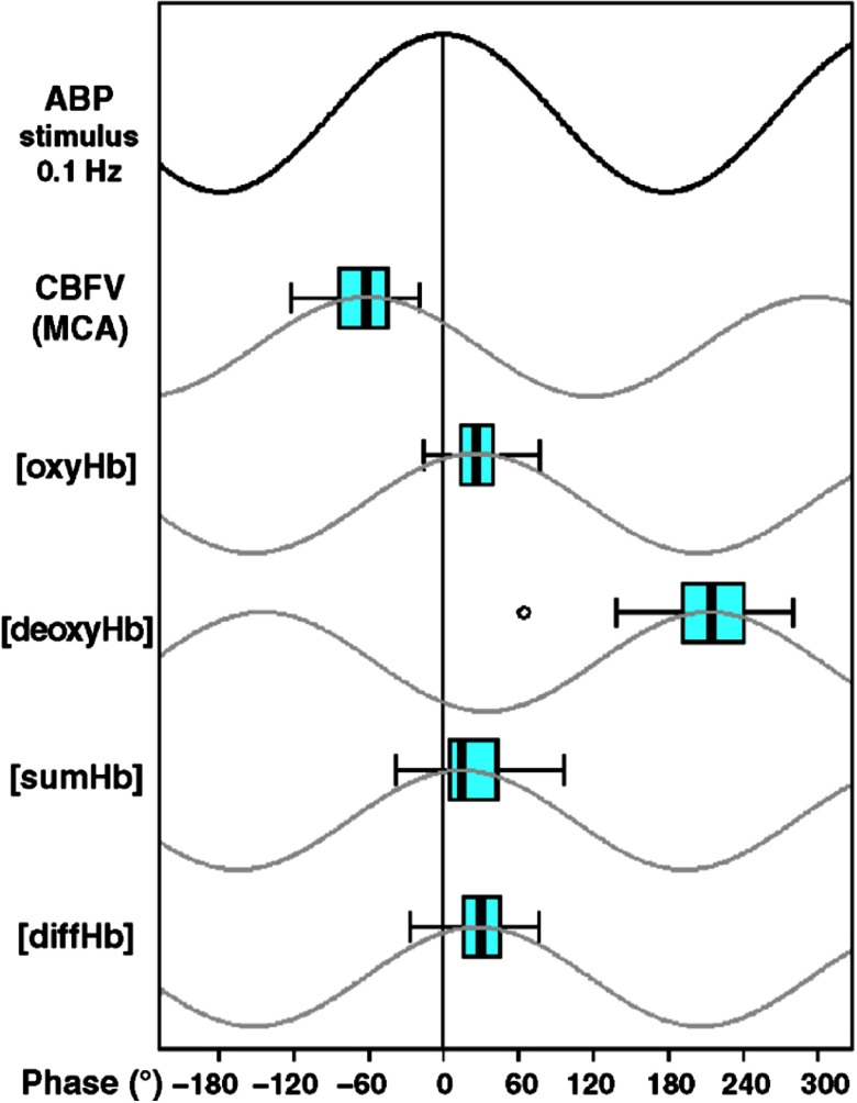 Fig. 5