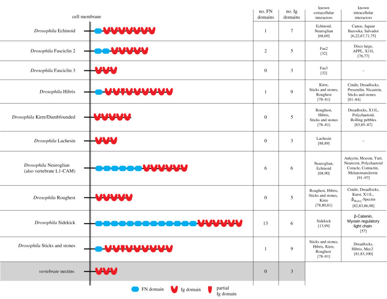 Figure 2.