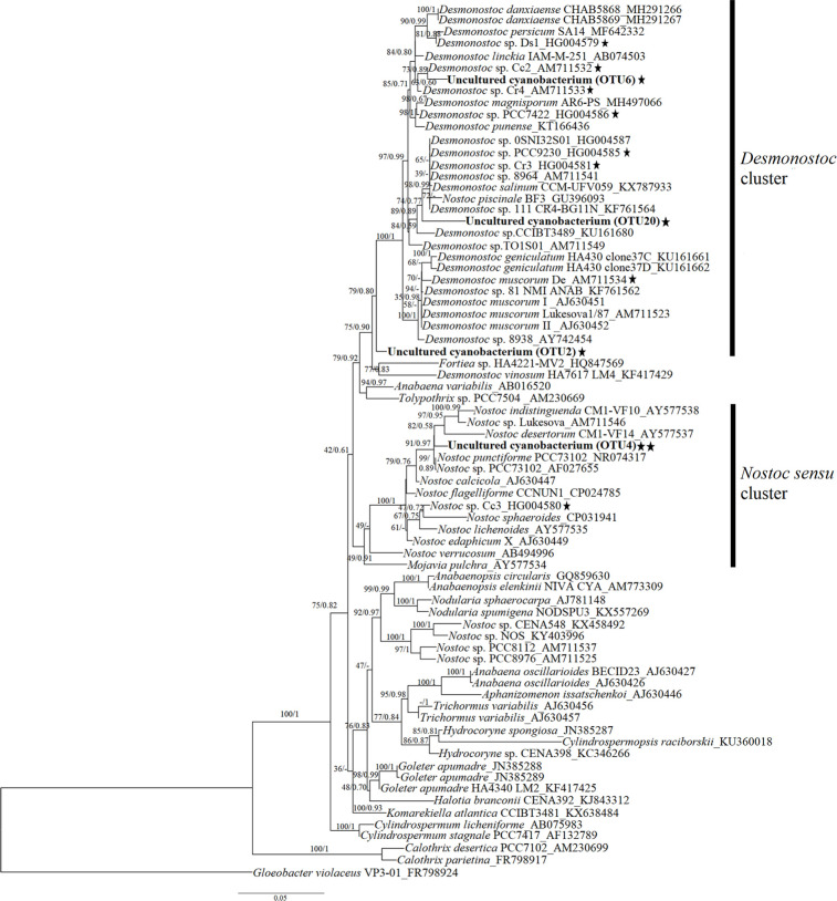 Figure 7.