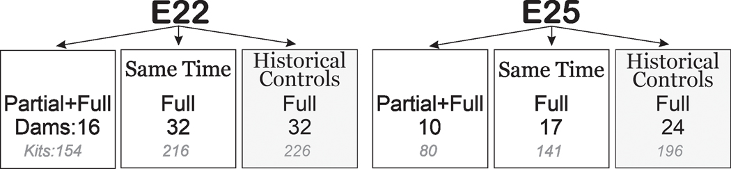 Figure 1: