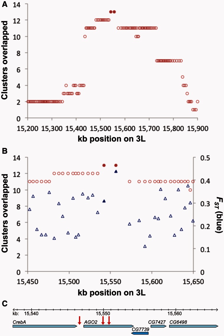 Fig. 6.