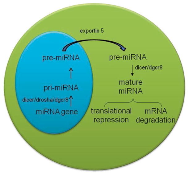 Fig. 15.1