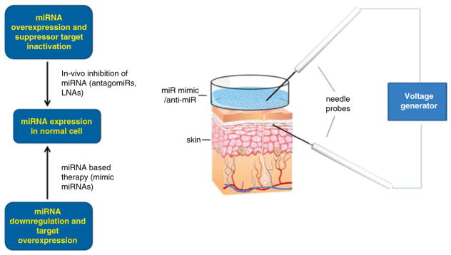 Fig. 15.5