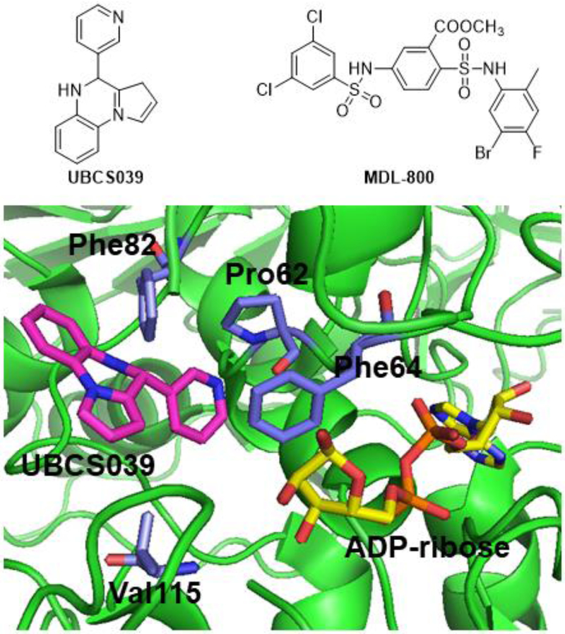 Figure 2.