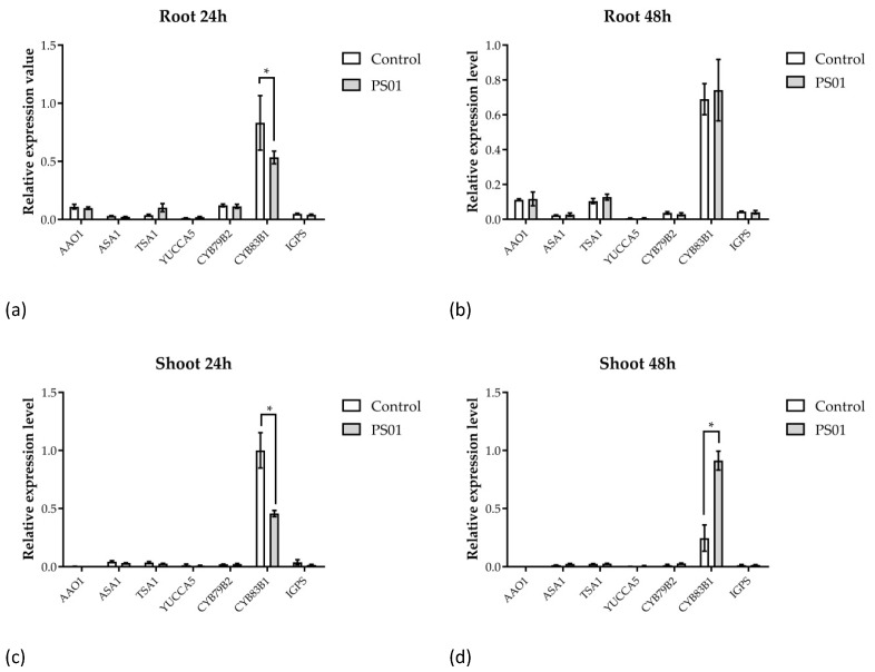 Figure 7