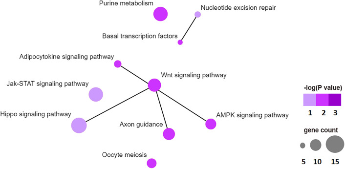 Figure 6