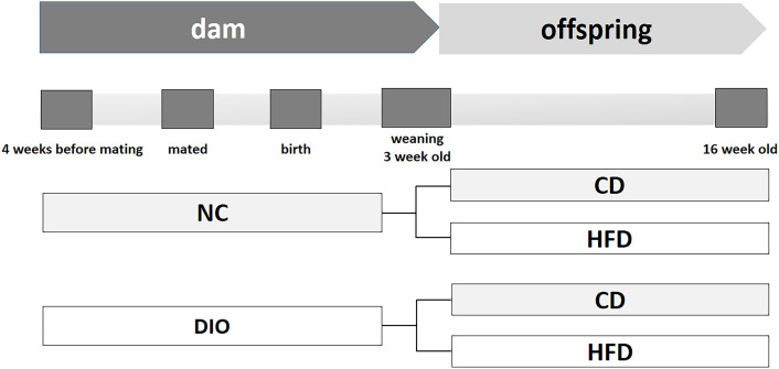 Figure 1