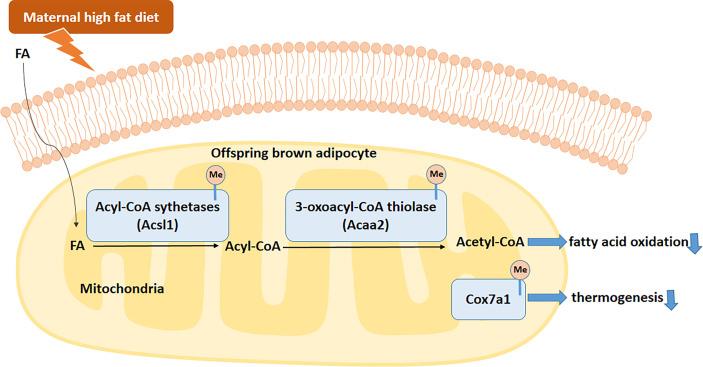 Figure 9