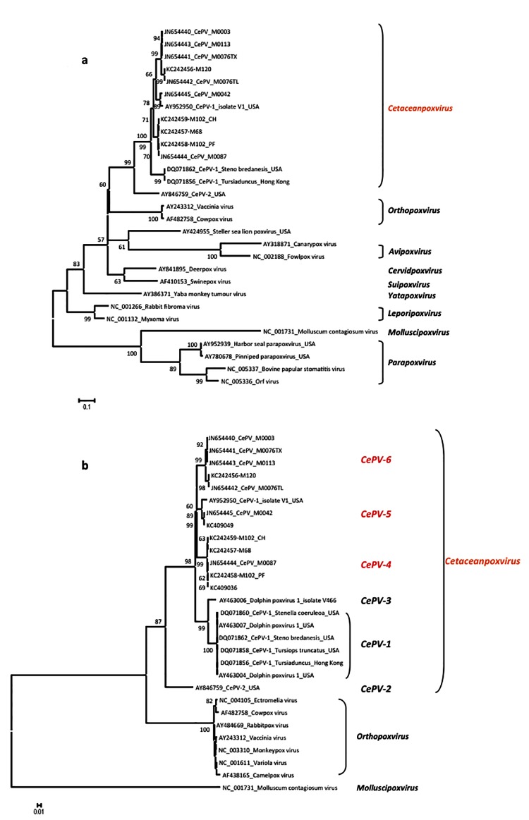 Fig 4