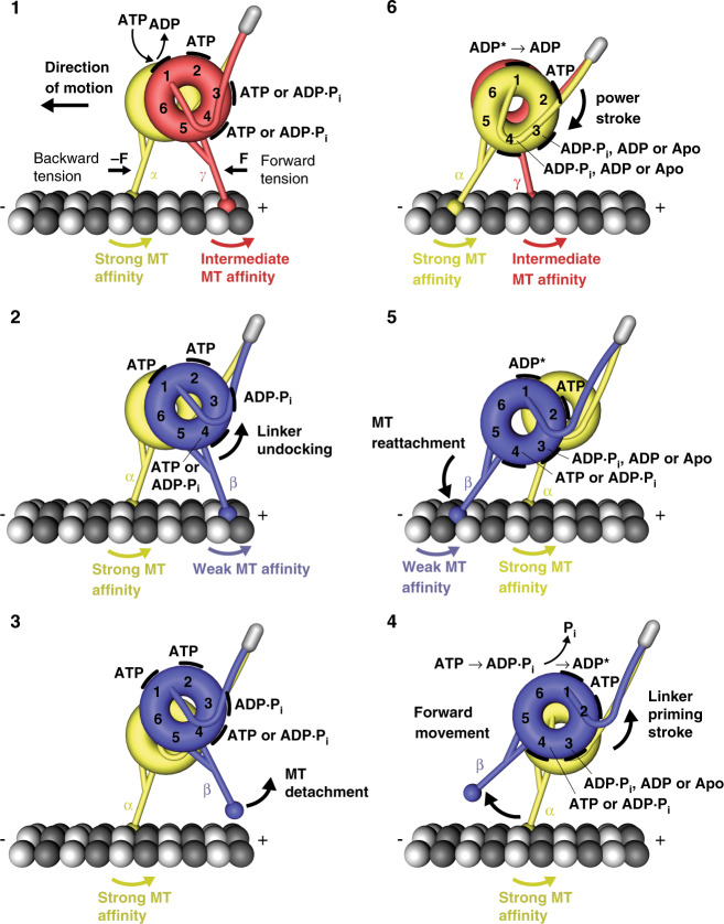 Fig. 7