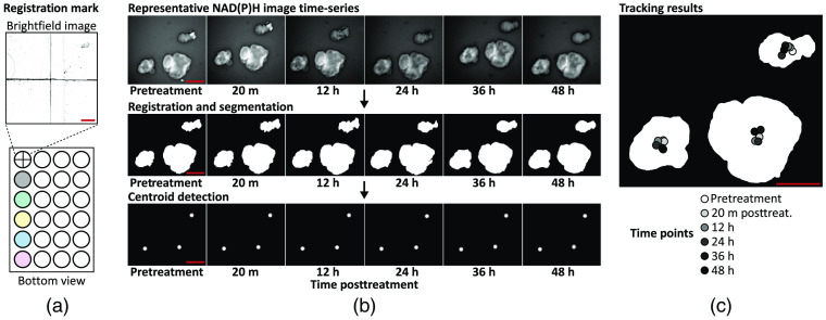 Fig. 2