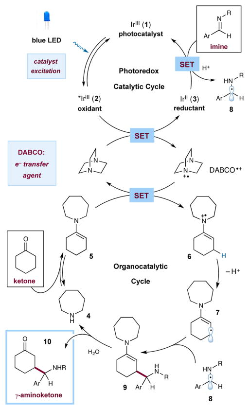 Scheme 1