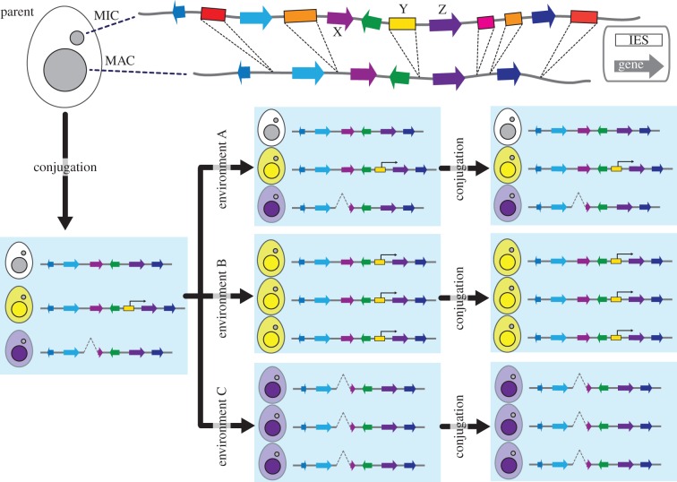 Figure 6.