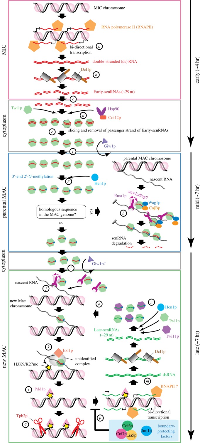 Figure 3.