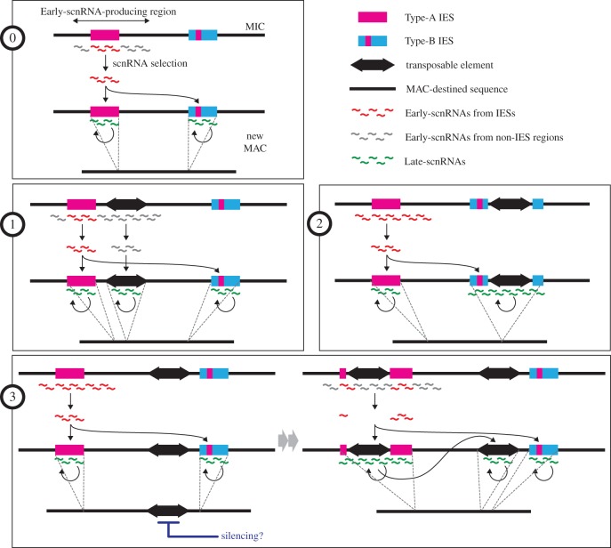 Figure 5.