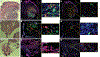 Figure 7: