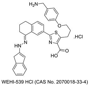 graphic file with name molecules-27-03994-i004.jpg