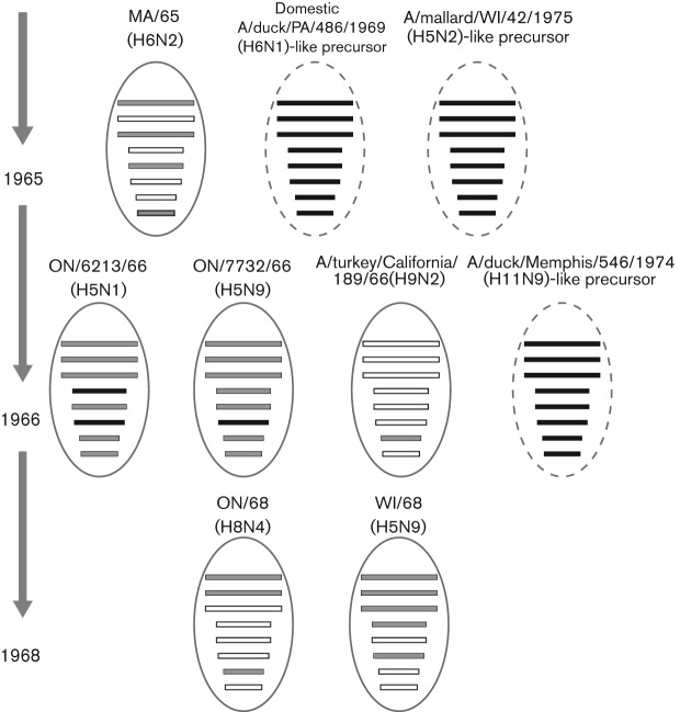 Fig. 3. 