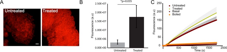 Fig 4