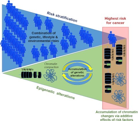 Graphical Abstract