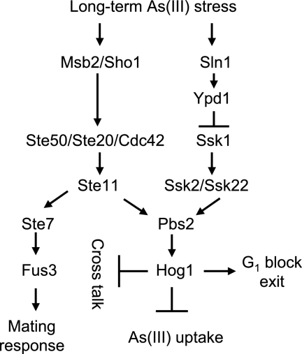 FIG. 5.