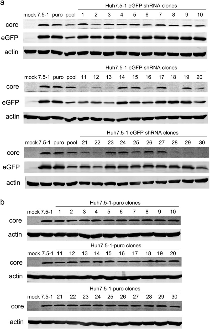 FIG 2