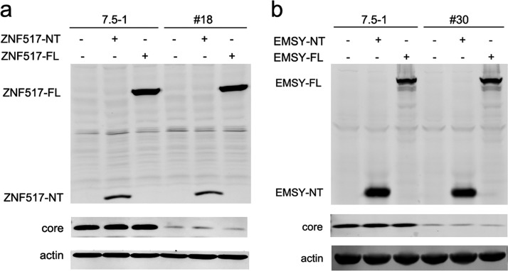 FIG 4