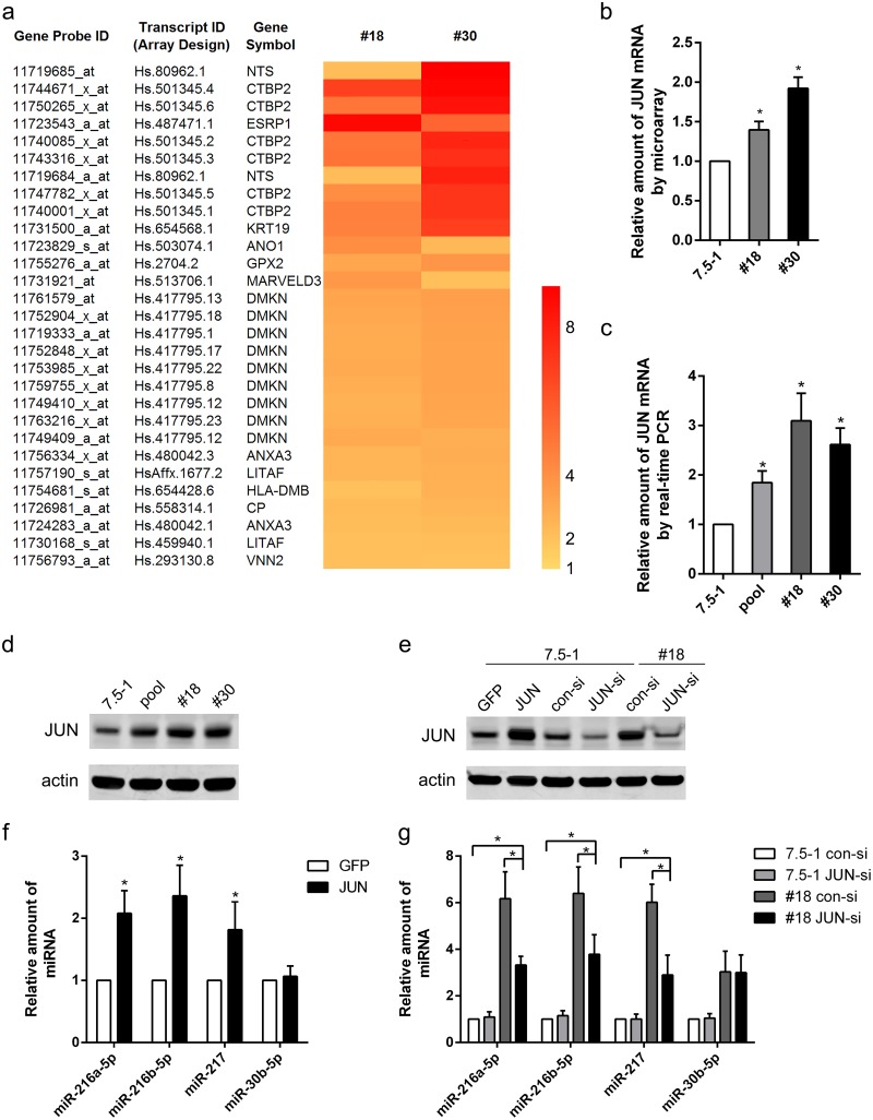 FIG 10