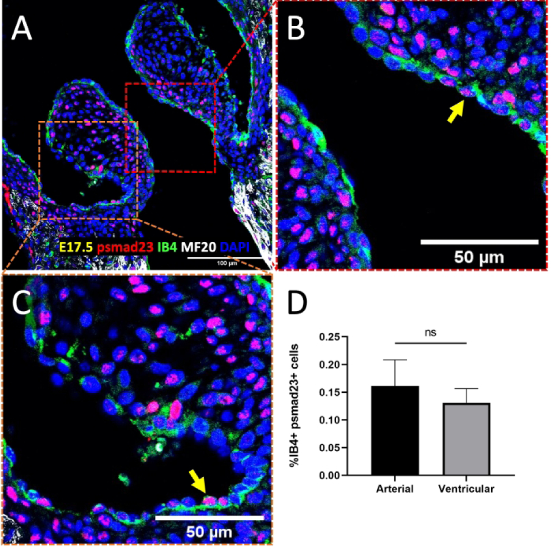 Figure 4.