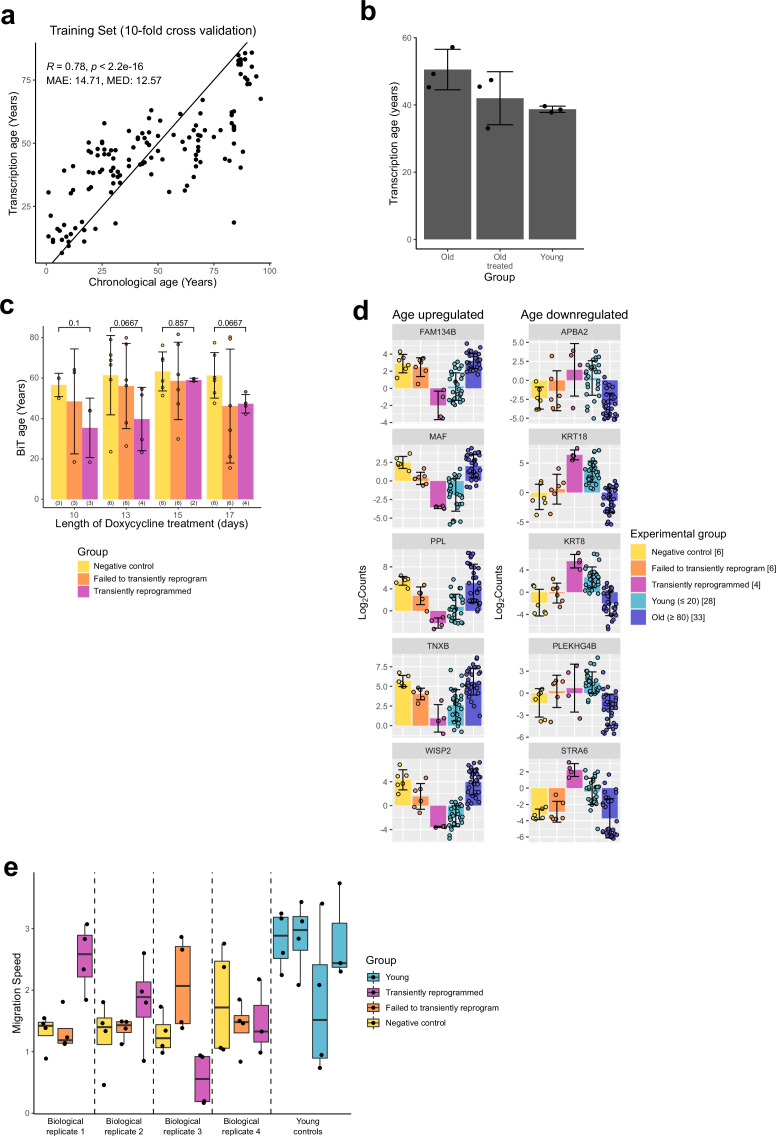 Figure 3—figure supplement 1.