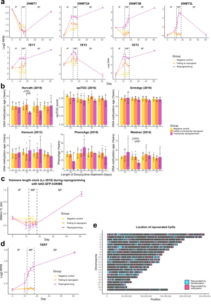 Figure 4—figure supplement 1.