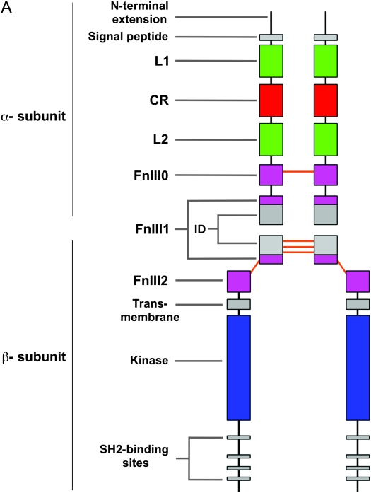 Figure 2.—