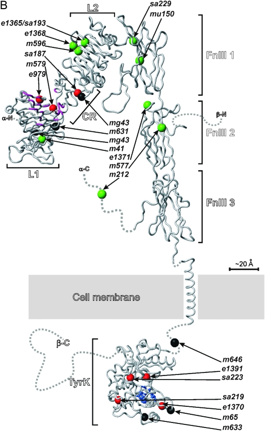 Figure 2.—