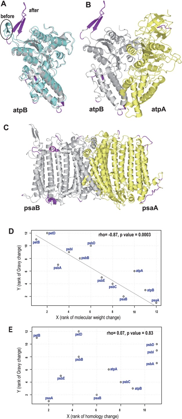 Fig. 4.—