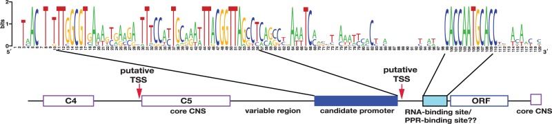 Fig. 2.—